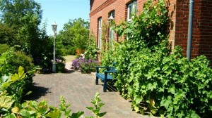 Ferienhaus-Ostsee-Schlei-Terrasse