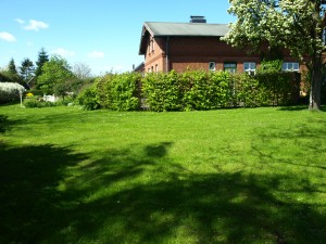 Ferienhaus-Ostsee-Schlei-Garten